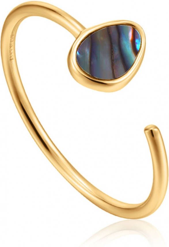 Ania Haie Ringen AH R027 02G 925 Sterling Zilver Turning Tides Ring Goudkleurig