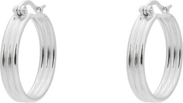 Anna + Nina Poetic Hoop oorringen