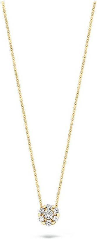 Blush Ketting van 14 karaat geelgoud met zirkonia 3097YZI
