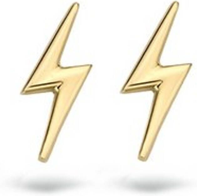 Blush Oorknopjes van 14 karaat geelgoud 7249YGO