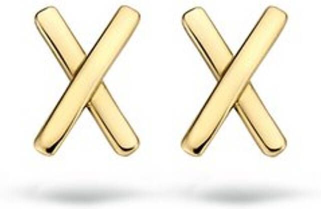 Blush Oorknopjes van 14 karaat geelgoud 7250YGO