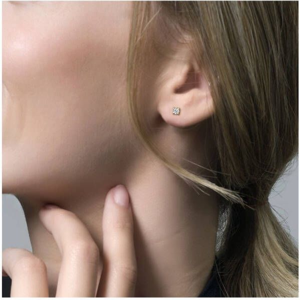 Blush Oorknopjes van 14 karaat geelgoud met zirkonia 7211YZI