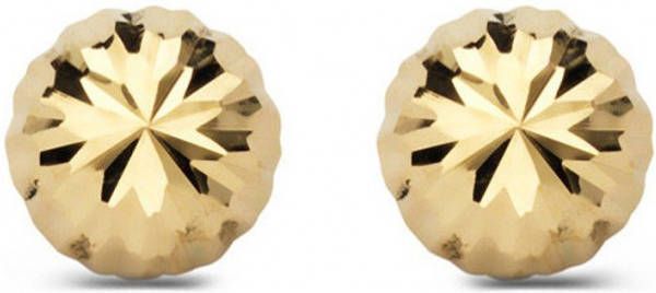 Diamond Point Geelgouden oorsieraden Timeless Treasures