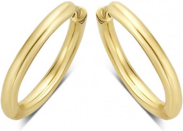 Diamond Point Geelgouden oorsieraden Timeless Treasures