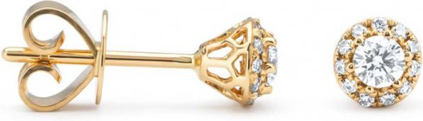 Diamond Point Oorbellen van 14 karaat geelgoud met 0 30 ct diamant Starlight