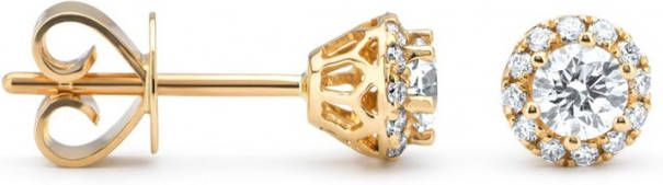 Diamond Point Oorbellen van 14 karaat geelgoud met 0 55 ct diamant Starlight