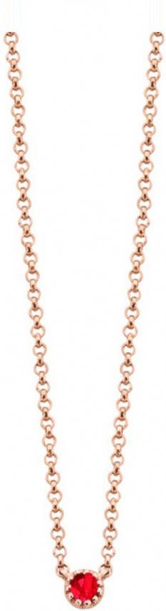 Diamond Point Rosé, gouden collier 0.05 ct robijn Joy