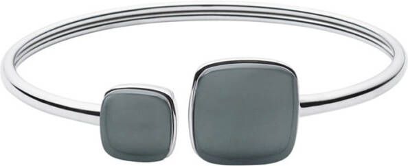 skagen Armbanden Sea Glass SKJ0870040 Zilverkleurig