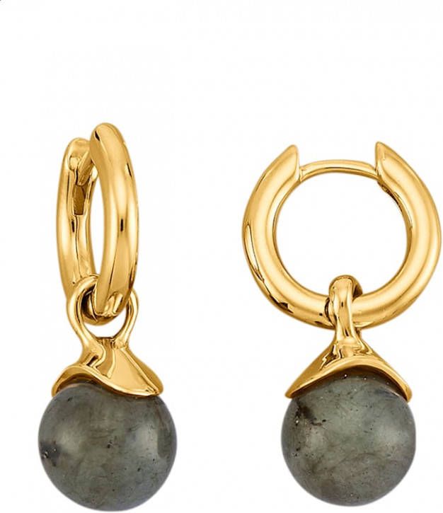 KLiNGEL Creolen met labradoriet Goudkleur