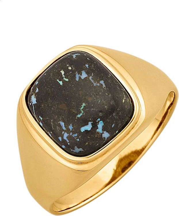 KLiNGEL Herenring met luipaardopaal Goudkleur