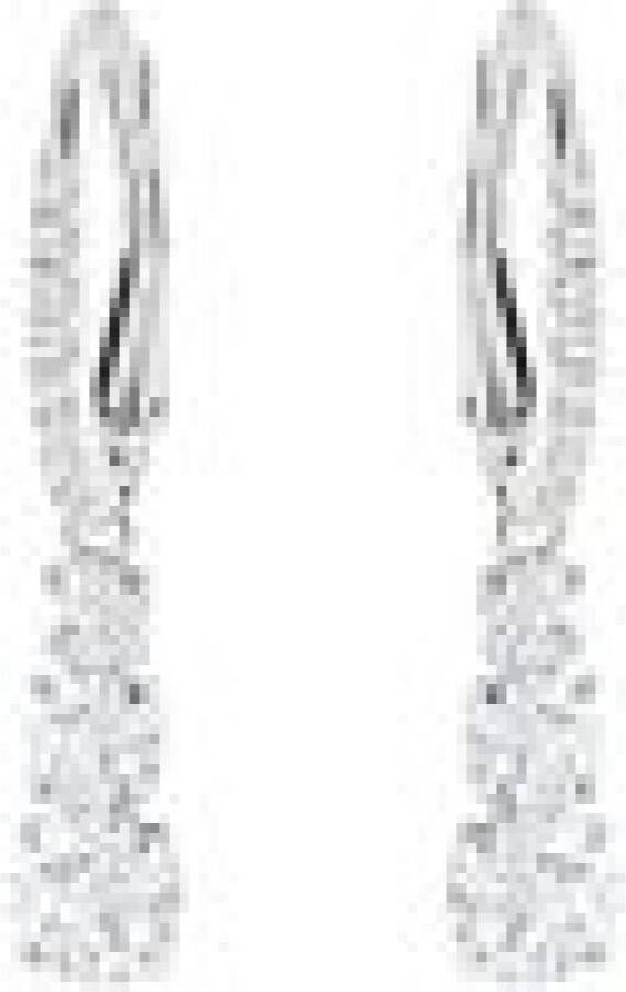Swarovski Oorbellen Grijs Dames