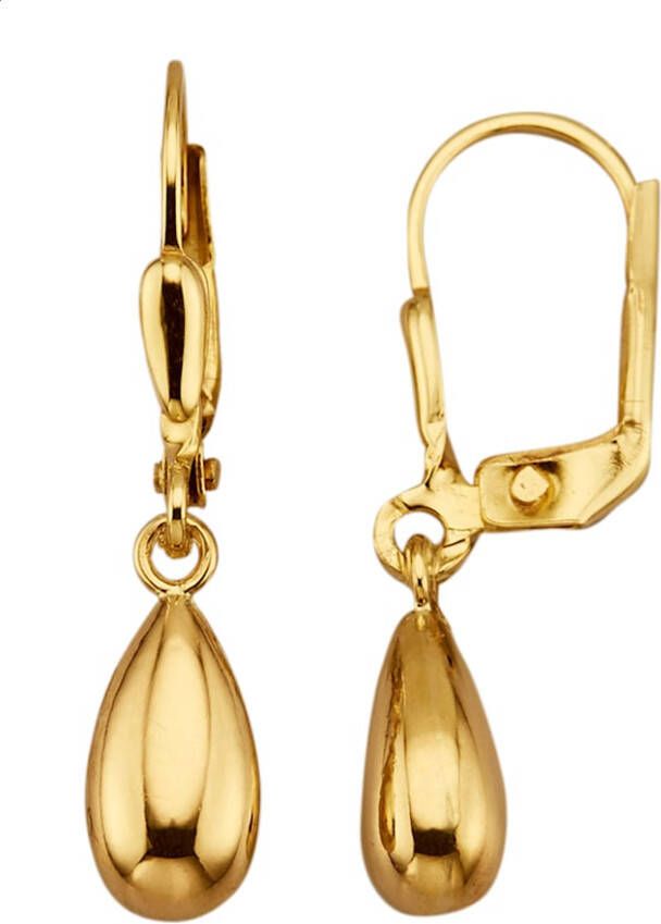 KLiNGEL Oorbellen van 9 kt. Geelgoudkleur