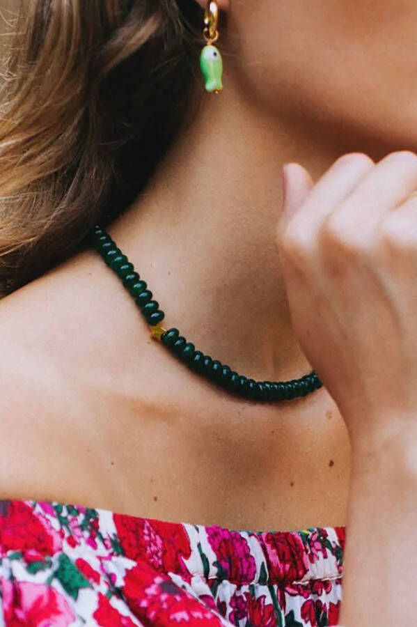 Bonnie studios Fred star