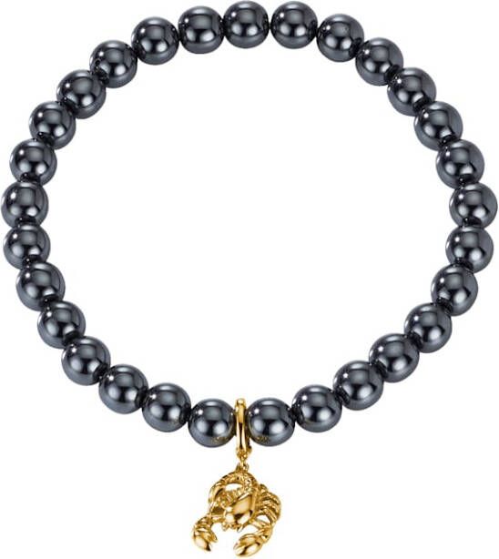 Diemer Farbstein Armband Geboortesteen Schorpieon met hematietkralen Grijs