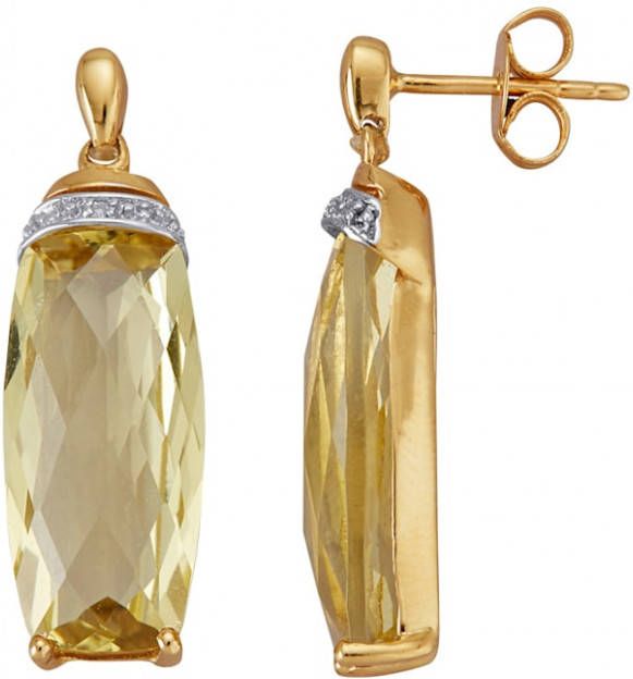 Diemer Farbstein Oorbellen van 14 kt. Geel