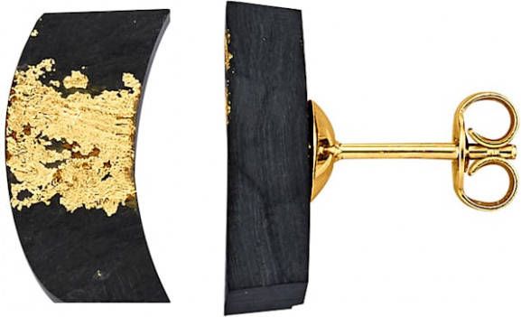 Diemer Farbstein Oorstekers van 14 kt. goud Zwart