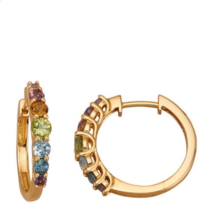 Diemer Farbstein Klapcreolen met gekleurde stenen Multicolor