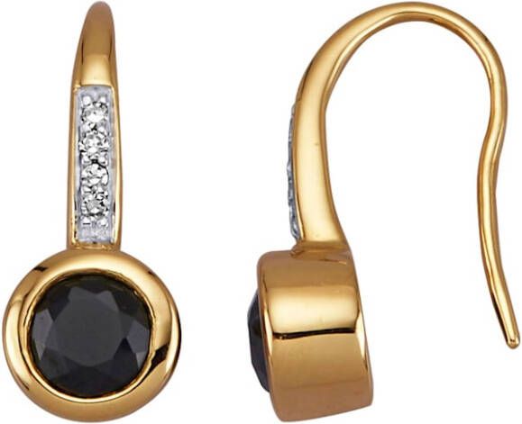 Diemer Farbstein Oorbellen van 14 kt. Blauw