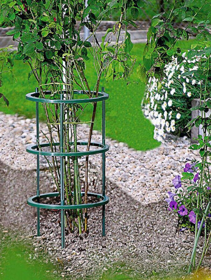 KLiNGEL Plantenring Groen
